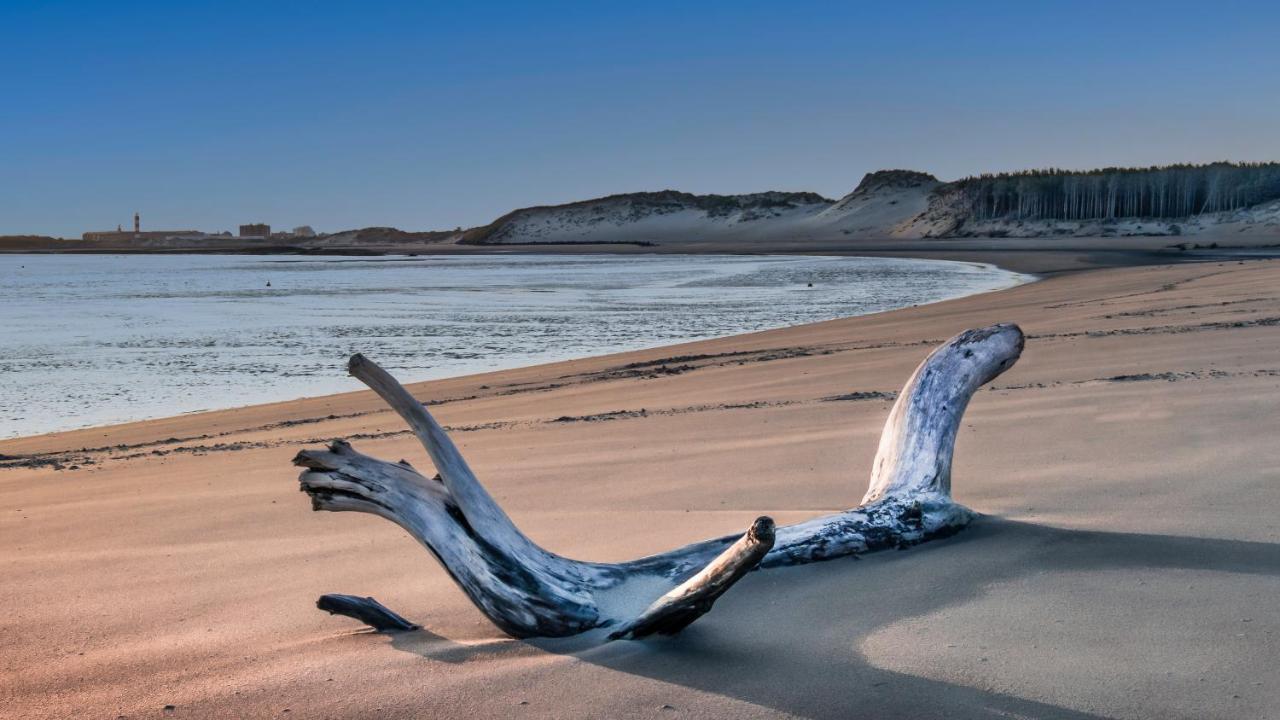 Studio "Les Pieds Dans L'Eau" - 50M Front De Mer Berck Ngoại thất bức ảnh
